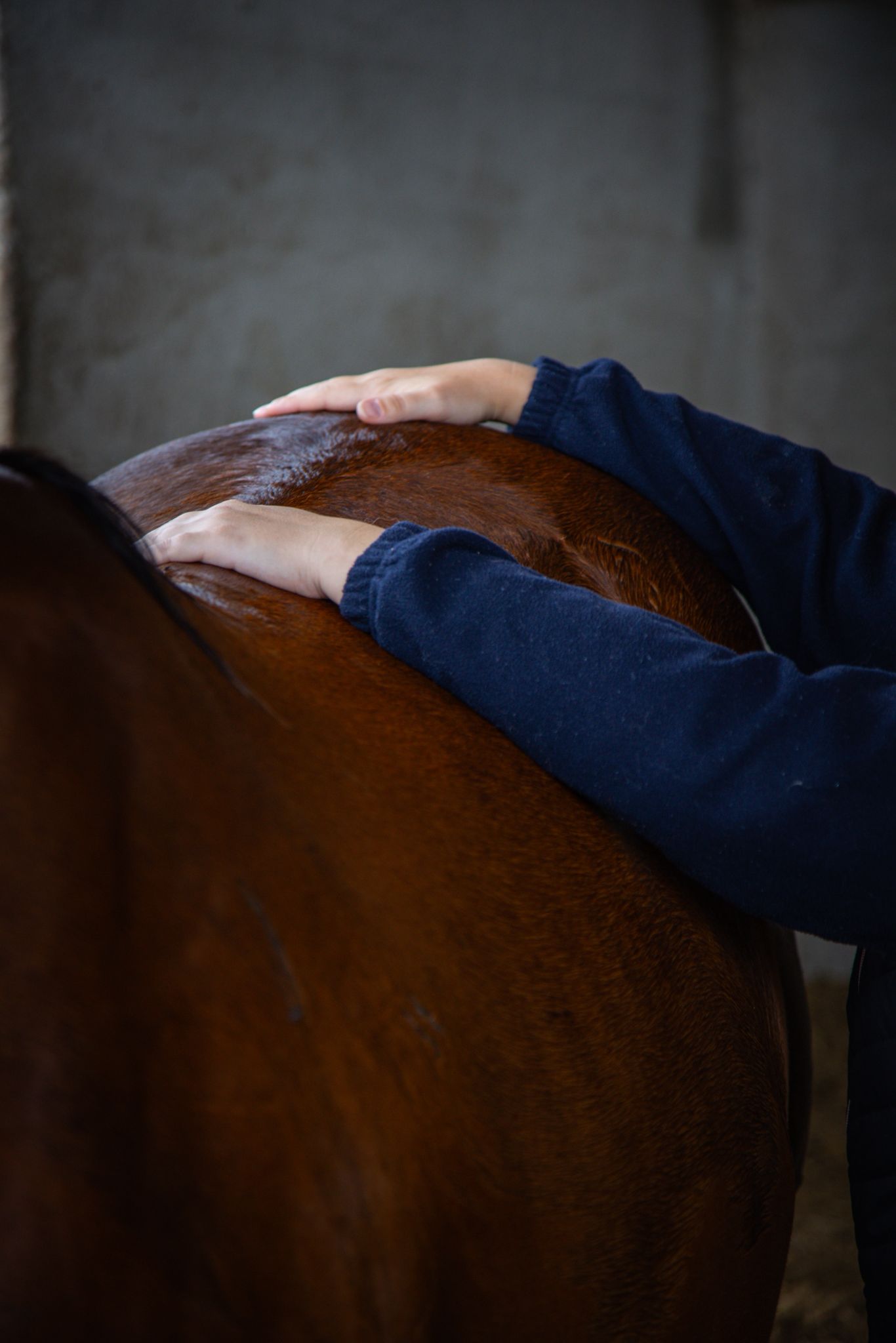 Comment se déroule une séance d'ostéopathie avec Clar'Ostéo ?
