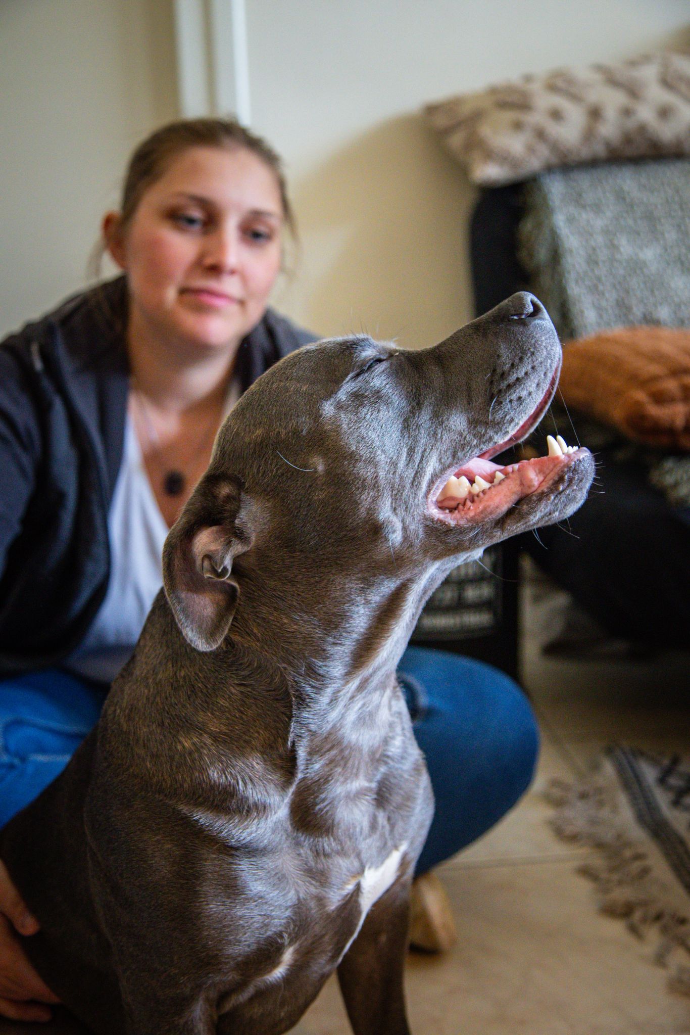 Qu'est-ce que l'ostéopathie pour chiens ?