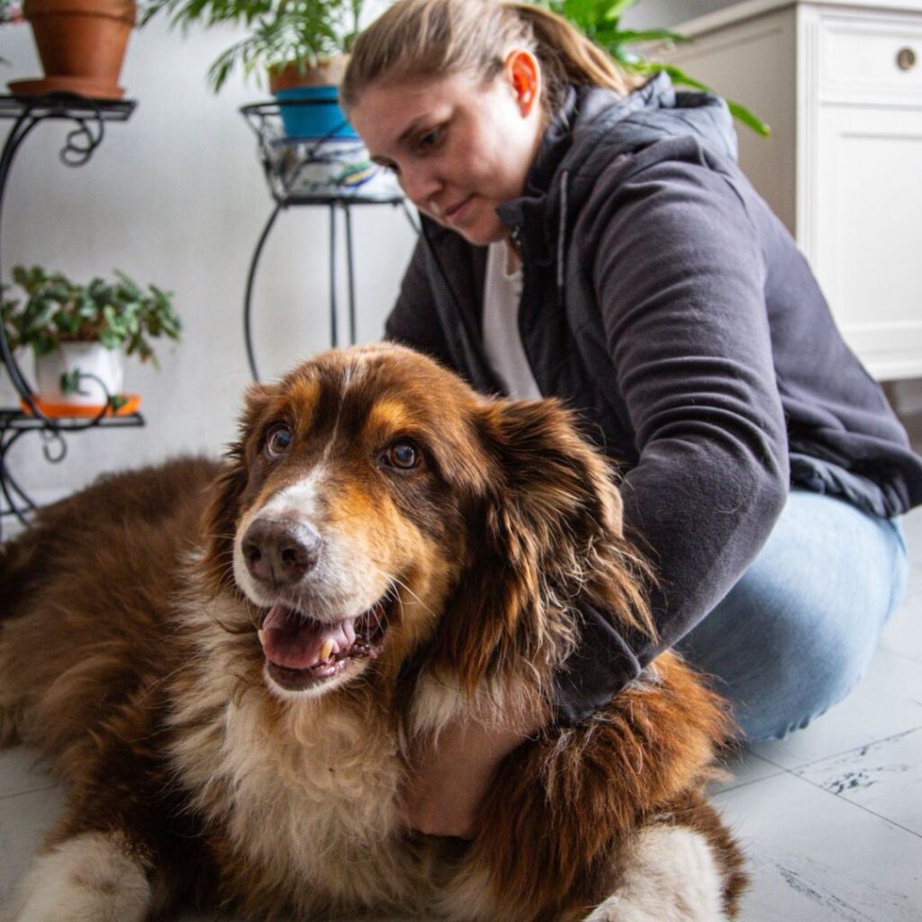 Une séance d'ostéopathie pour chien avec Clara.