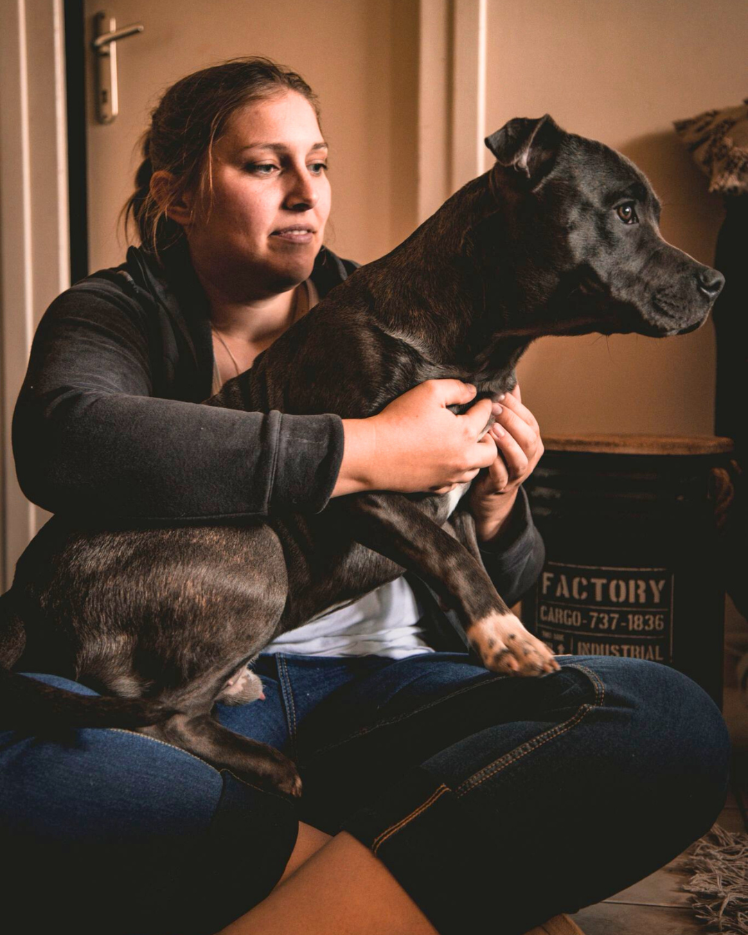 Séance d'ostéopathie pour chien avec Clara Talussot.